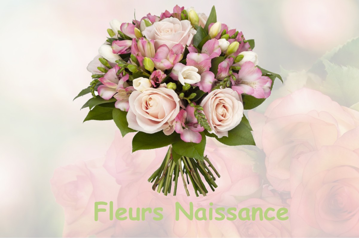fleurs naissance PERPEZAC-LE-NOIR