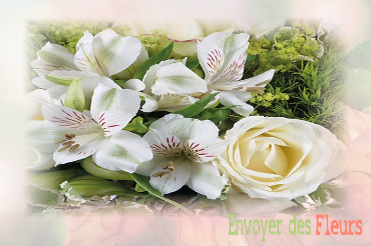 envoyer des fleurs à à PERPEZAC-LE-NOIR